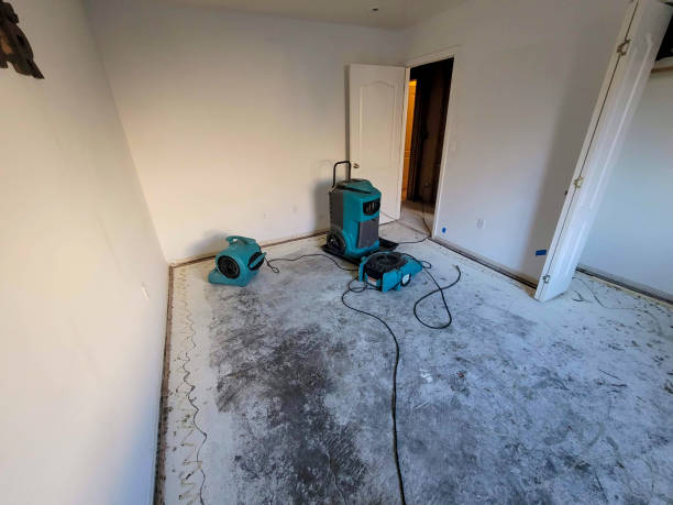 Best Commercial water damage restoration  in Van Horn, TX