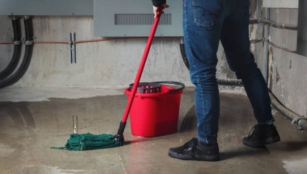 Trusted Van Horn, TX Water damage restoration Experts