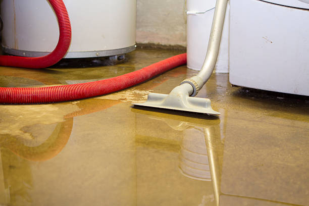 Best Water damage contractors near me  in Van Horn, TX
