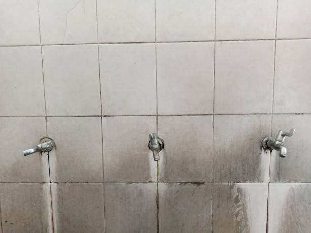 Best Carpet water damage restoration  in Van Horn, TX