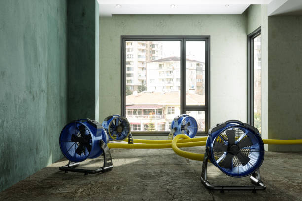 Best Residential water damage restoration  in Van Horn, TX